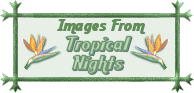 Check out the great graphics at Tropical Nights!